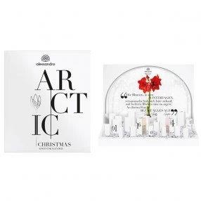 Alessandro Arctic Adventskalender Deluxe