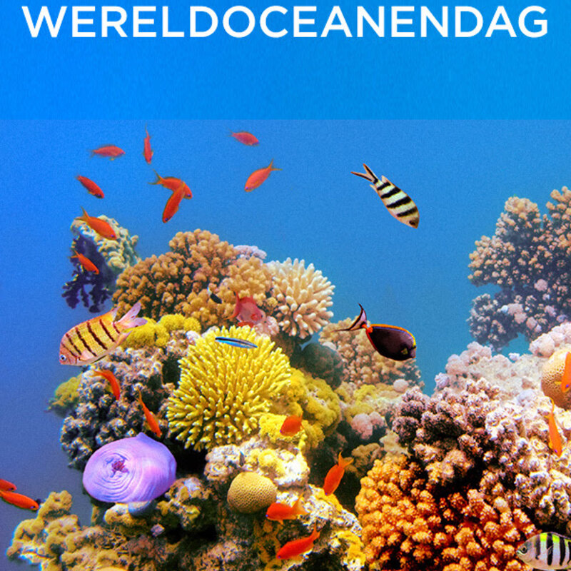 8  juni Wereld Oceanen Dag 