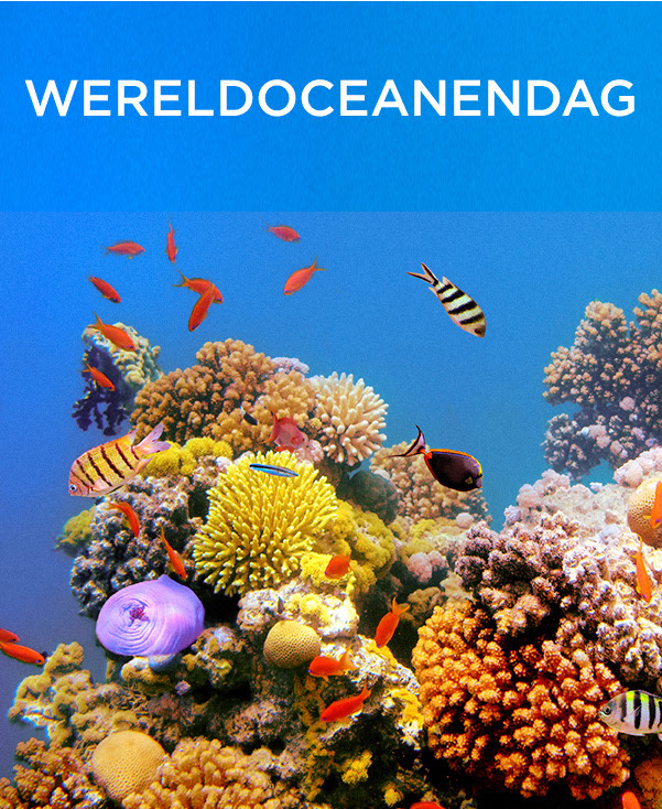 8  juni Wereld Oceanen Dag 