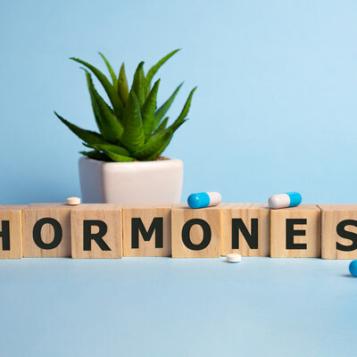 Hoe werken hormoonverstorende stoffen?