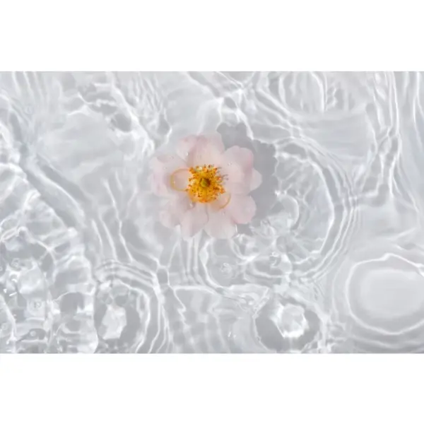 ZAO Skincare & Make-up  intuitive Radiance tonic - gezichtslotion voor een stralende huid 100ml