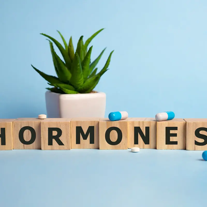 Wat zijn hormonen en wat doen ze voor je?