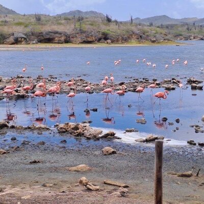 Mijn Bonaire reis; tips over leuke plekjes, restaurantjes en goede zonverzorging