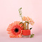 ZAO Skincare & Make-up   Nagellak 683 Orange coral 8ml