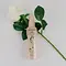 Biosilk Haarparfum Irrisitible 67ml