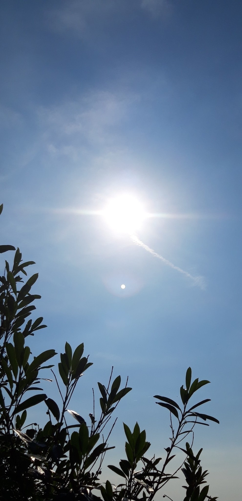 Wie cremt man sich in der Sonne richtig ein?