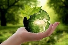 Warum entscheiden wir uns für echte Naturkosmetik?