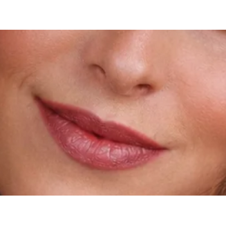 lipstick 844