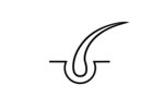 Kerabelle
