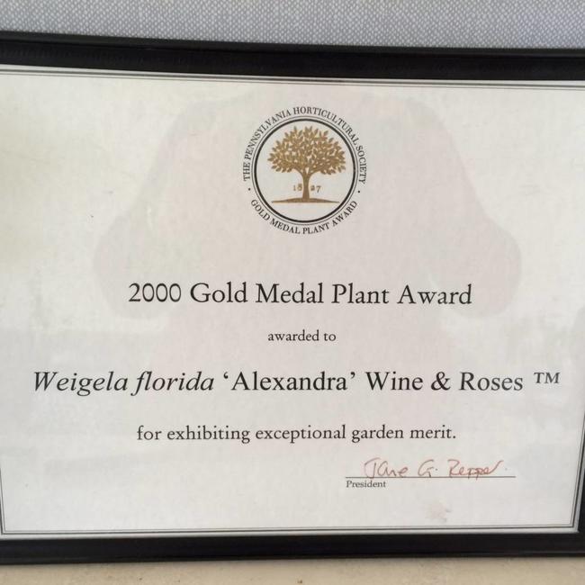 Weigela florida 'Alexandra'®