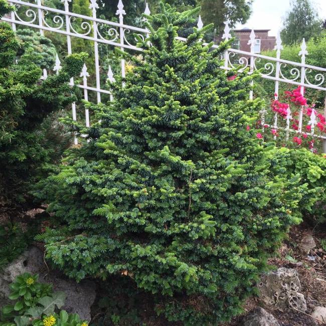 Siertuin van Herman Geers