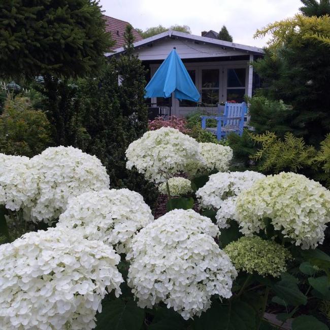 Siertuin van Herman Geers