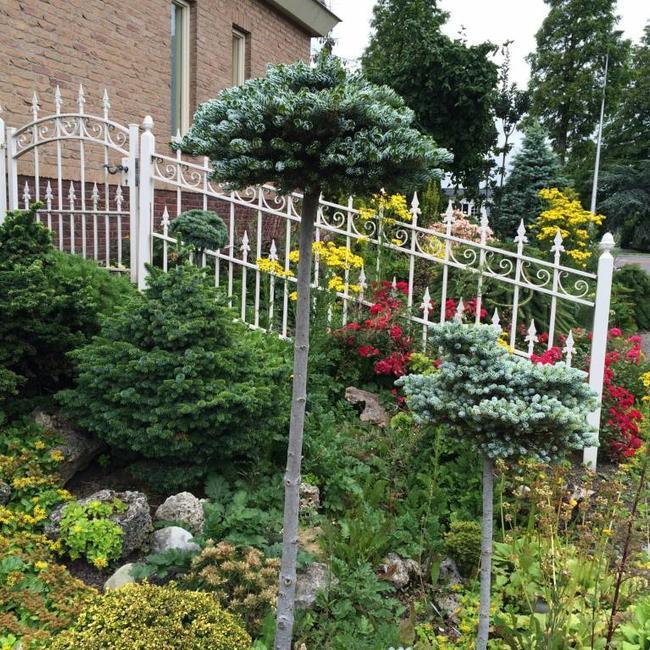 Siertuin van Herman Geers