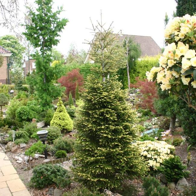 Siertuin van Herman Geers