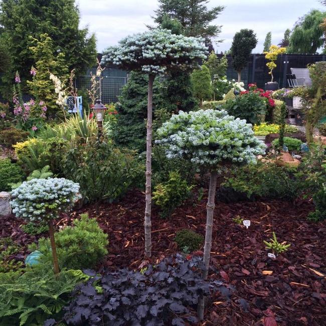 Siertuin van Herman Geers