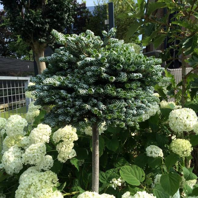 Siertuin van Herman Geers