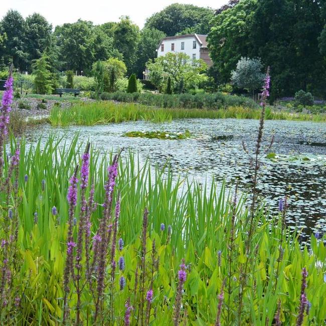 Arboretum 'De Dreijen' in Wageningen