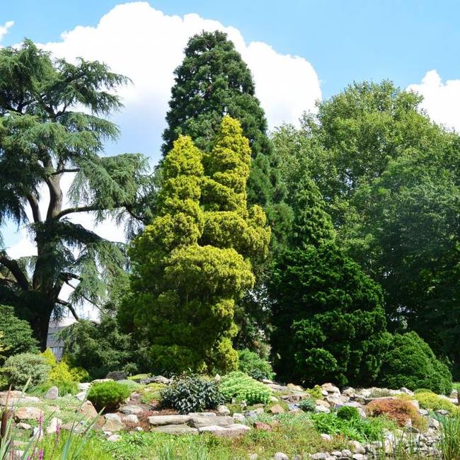 Arboretum 'De Dreijen' in Wageningen