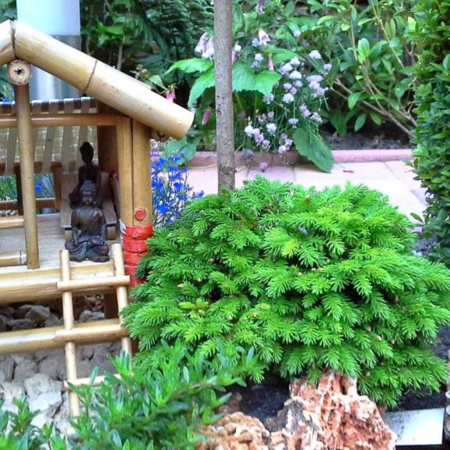 Miniatuurtuin van Edwin