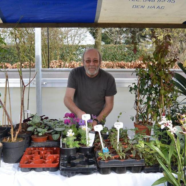 Terugblik op onze jaarlijkse open dagen - plantenweekend