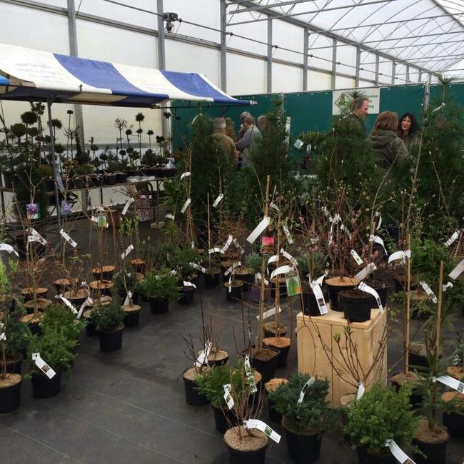 Terugblik op onze jaarlijkse open dagen - plantenweekend