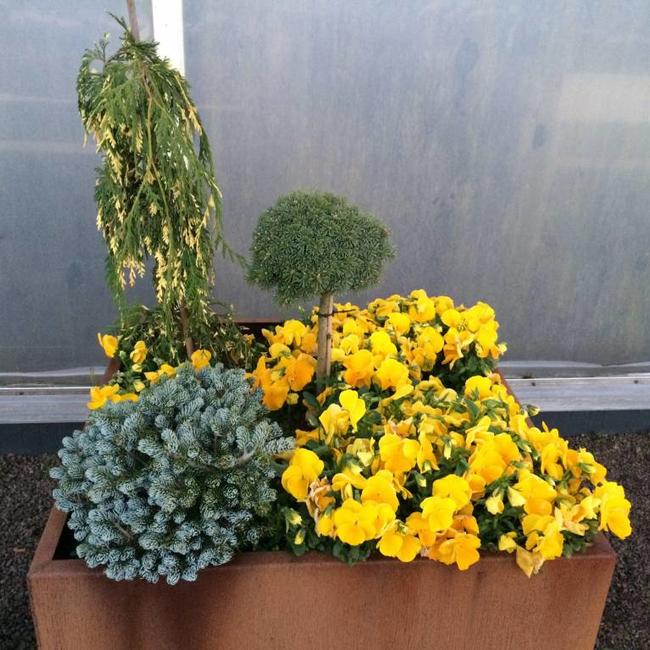 Cortenstalen plantenbak