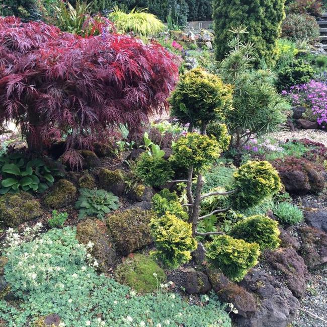 Kwekerij De Gentiaan