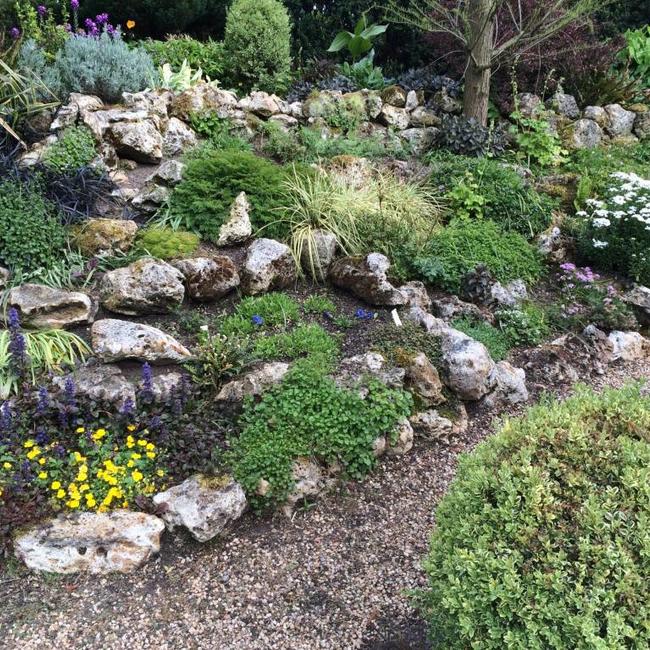 Kwekerij De Gentiaan