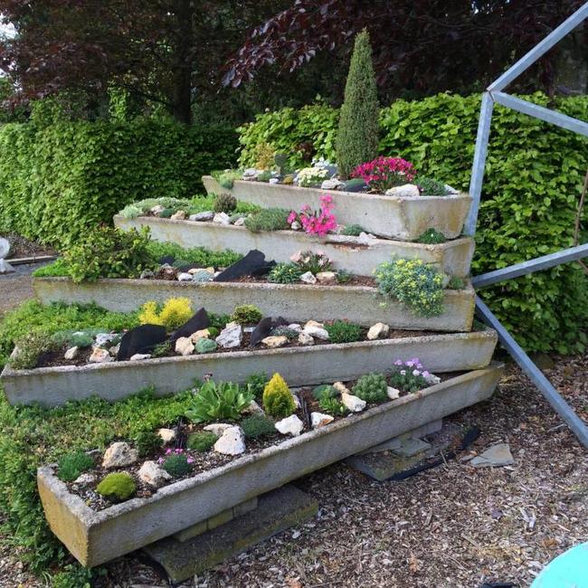 Kwekerij De Gentiaan