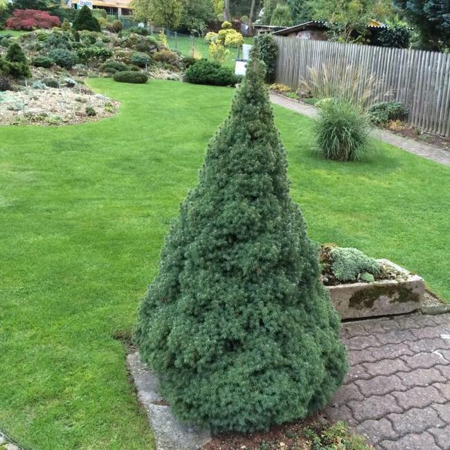 Alpentuin in Duitsland