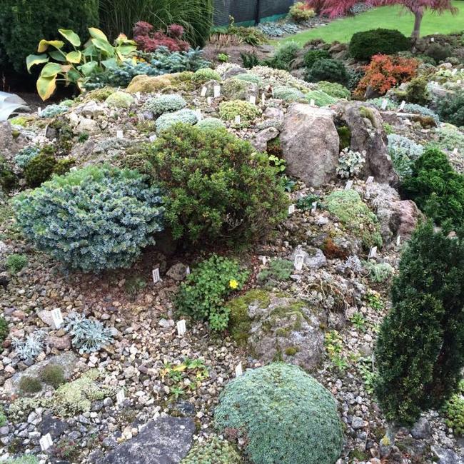 Alpentuin in Duitsland