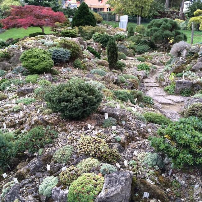 Alpentuin in Duitsland