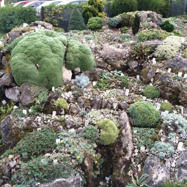 Alpentuin in Duitsland