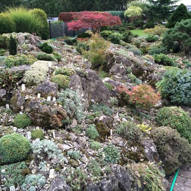 Alpentuin in Duitsland