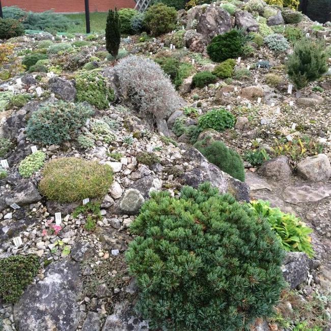 Alpentuin in Duitsland