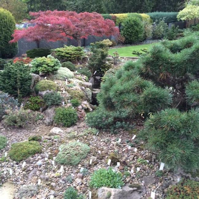 Alpentuin in Duitsland