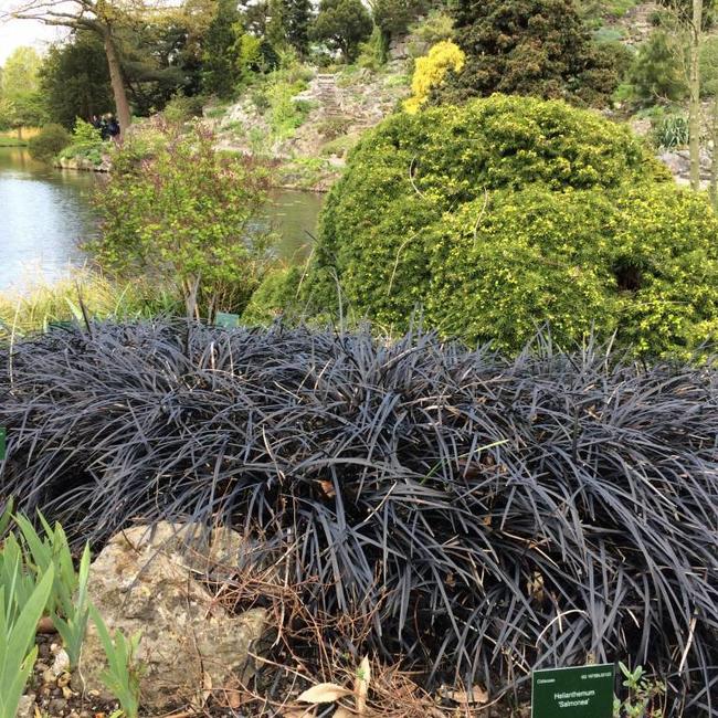 Botanische Tuin Utrecht