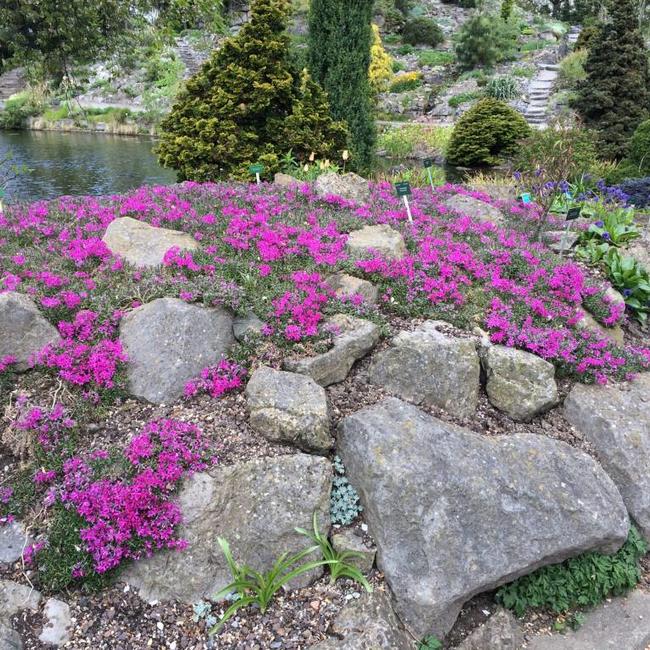 Botanische Tuin Utrecht
