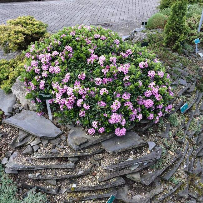 Botanische Tuin Utrecht