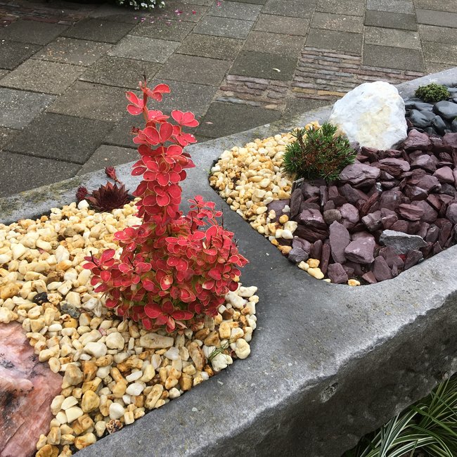 Tuin van een klant 3