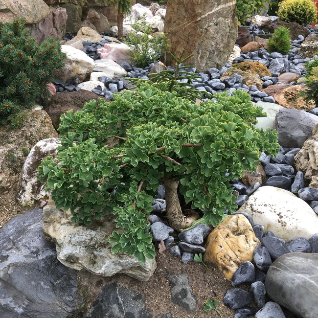 Tuin van een klant 3