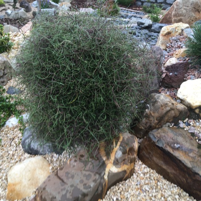 Tuin van een klant 3