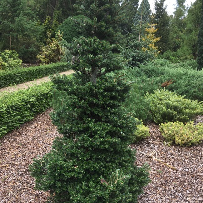 Tuin van een klant Arboretum 'De Dreijen'