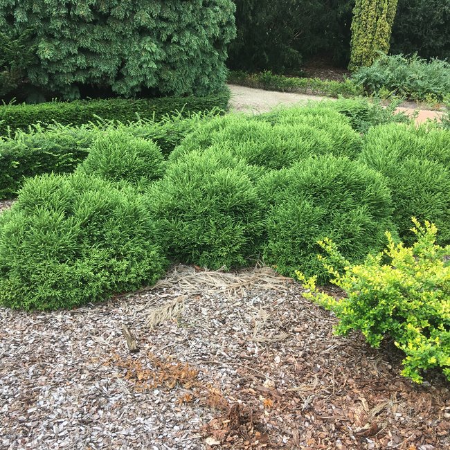 Tuin van een klant Arboretum 'De Dreijen'