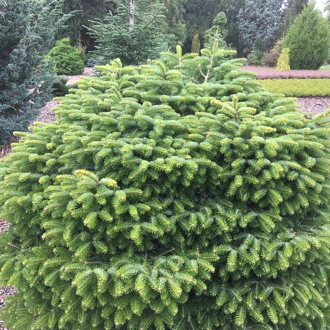 Tuin van een klant Arboretum 'De Dreijen'