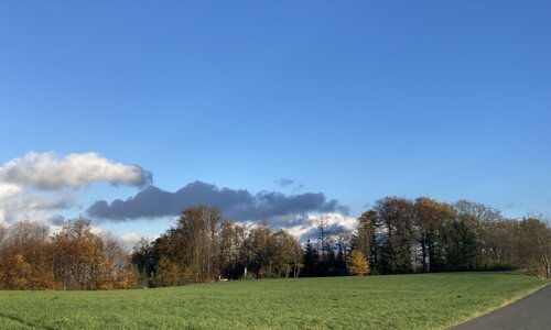 Herfstkleuren