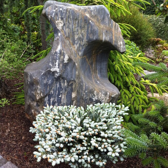 Inspiratie tuin met Japanse accenten Deel 1