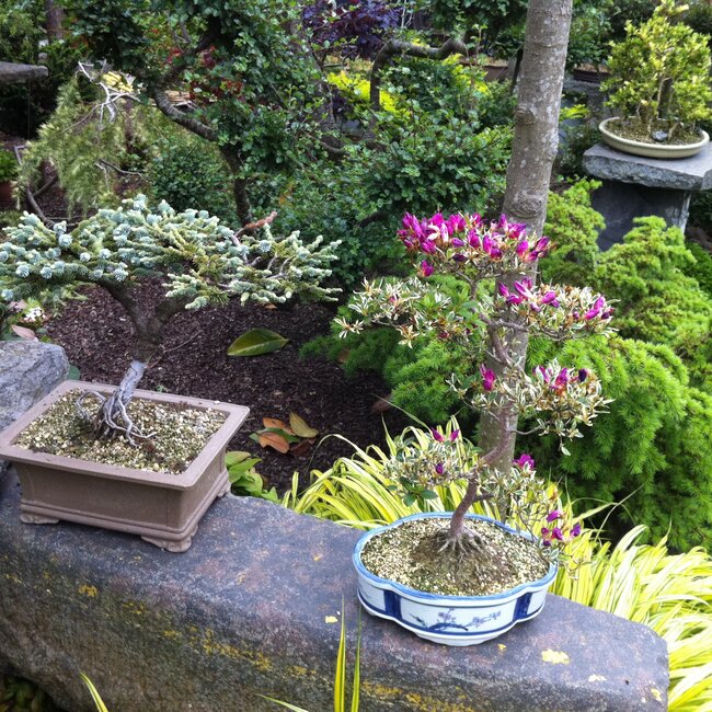 Inspiratie tuin met Japanse accenten Deel 1