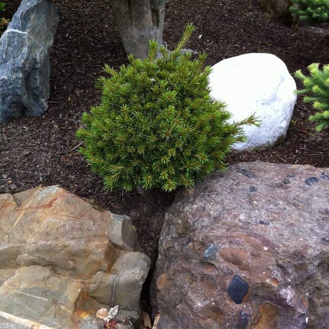 Inspiratie tuin met Japanse accenten Deel 1