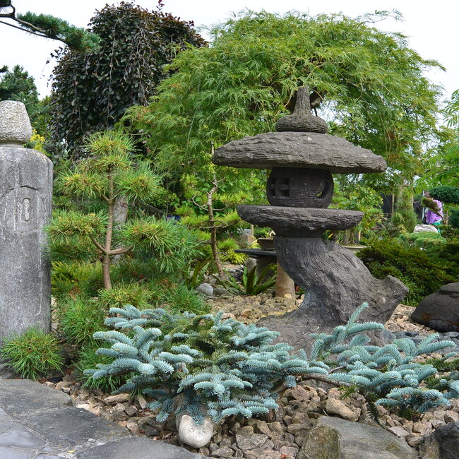 Inspiratie tuin met Japanse accenten Deel 1